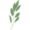 VERITABLE Lingot Sage Organic - Градински Чай листа - Image 3