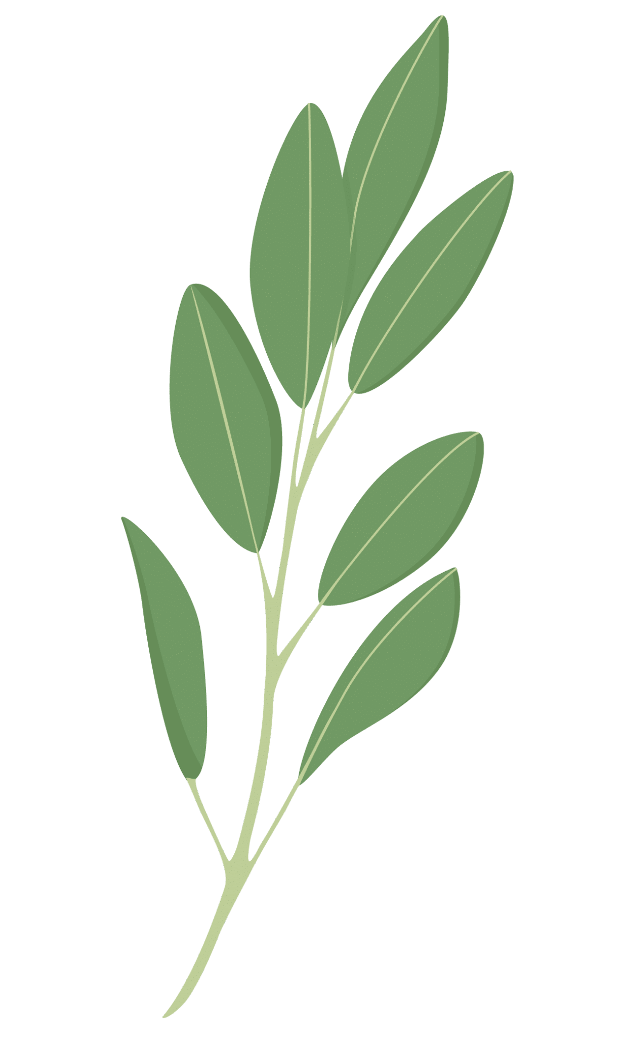 VERITABLE Lingot Sage Organic - Градински Чай листа - Image 3