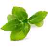 VERITABLE Lingot   Cinnamon Basil Organic - Канелен Босилек - Image 2