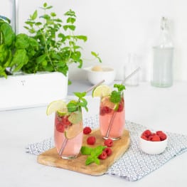 VERITABLE Lingot Maroccan Mint - Мароканска Мента - Image 5