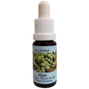 Essence Alga (Sea Essence № 1)/ Есенция Водорасли - капки x 15 ml| PHI Essences