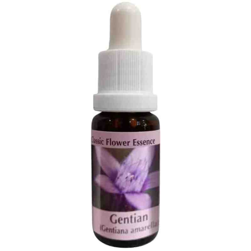 Essence Gentian (Classic Flower Essence № 12)/ Есенция Тинтява - капки ...
