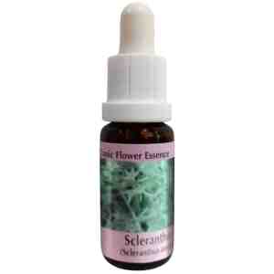 Essence Scleranthus (Classic Flower Essence № 28)/ Есенция Хрущялка - капки x 15 ml| PHI Essences